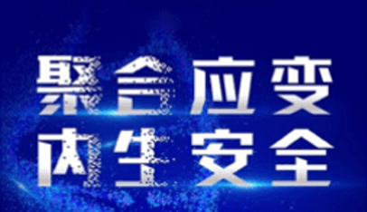 提出“内生安全”